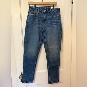 American Eagle Curvy Jeans